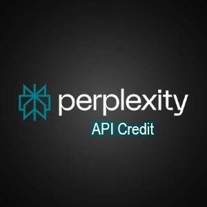 شارژ کردیت Perplexity Api