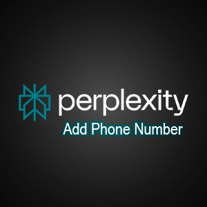 افزودن شماره perplexity